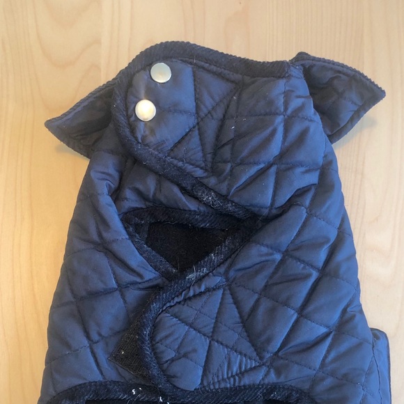 Small Dog Puffer Vest with Corduroy collar navy - Picture 4 of 4